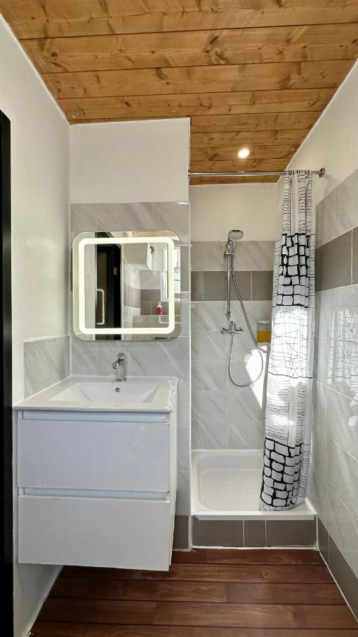 Lion'S Room - 2 Minute Walk From Palais Des Festivals And Beaches Cannes Eksteriør billede